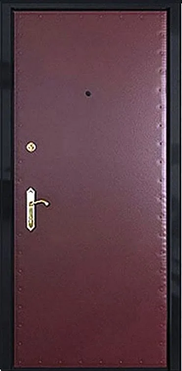 Входная дверь Andromeda-1 (Винилискожа)